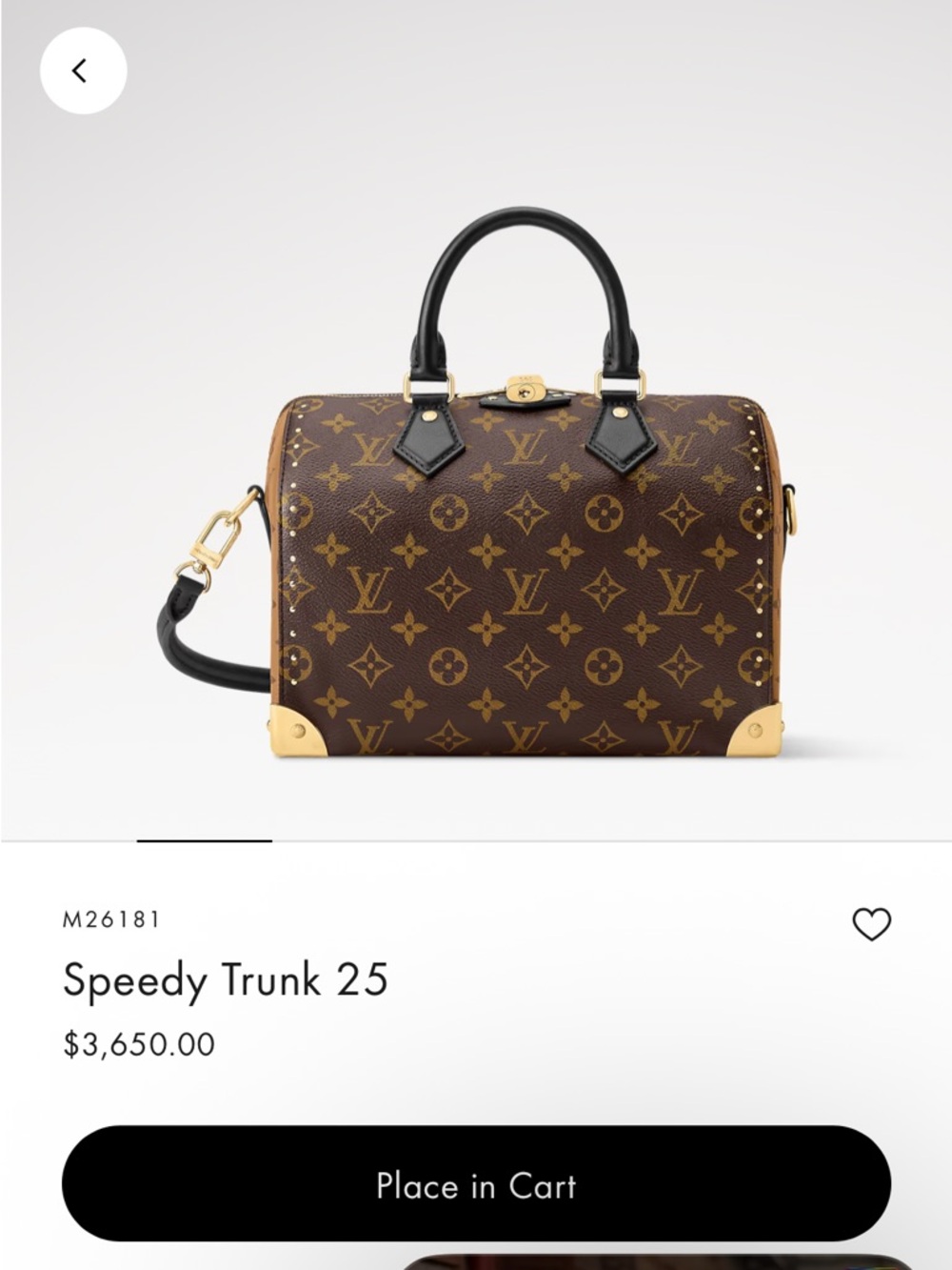 Louis Vuitton speedy trunk 25 monogram